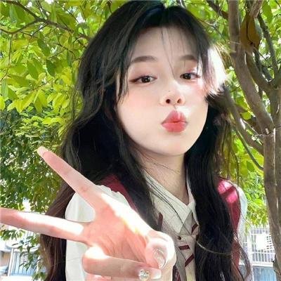 我私人的爱达荷